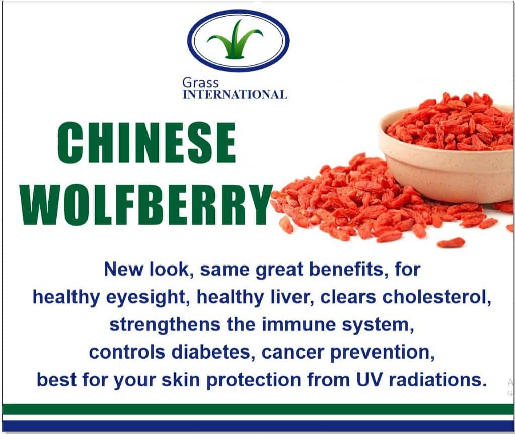 Chinese Wolfberry
